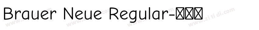 Brauer Neue Regular字体转换